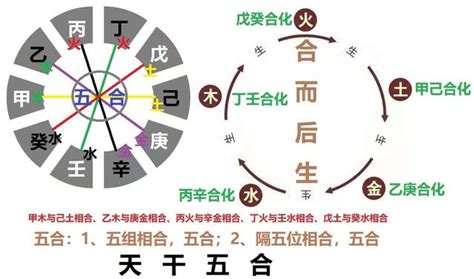 天干五合原理|天干五合